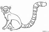 Coloring Lemur Pages Coloringbay sketch template