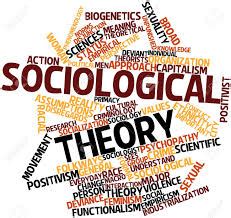 sociological theory assignment point