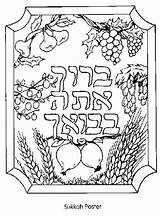 Kids Coloring Sukkot Pages Jewish Torah Feast Tree Sukkah Colouring Color Sheets Tabernacles Drawing Fig Template Succos Seven Deuteronomy Books sketch template