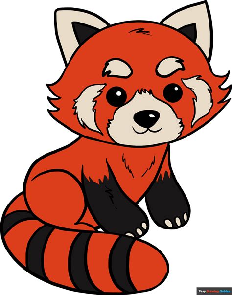 draw  red panda