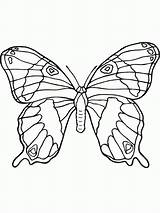 Schmetterlinge Kolorowanki Butterflies Malvorlage Vlinders Motyle Motylami Ausmalbild Mariposa Farfalla Owady Kleurplaten Personal Mariposas Vlinder Színezlapok Pillangó Rajzok Ausmalen Complicated sketch template