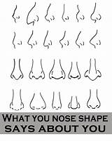 Nose Shapes sketch template