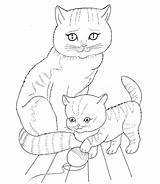 Kitten Cat Coloring Mother Pages Supercoloring Color sketch template