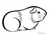 Guinea Pig Coloring Pages Drawings Printable Kids Color Pigs Print Adults Adult Book Friends sketch template