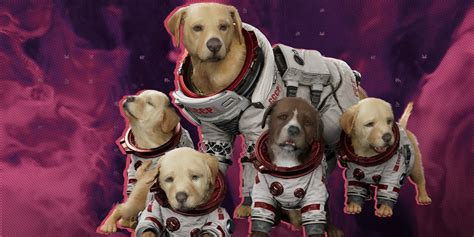 guardians   galaxy cutscene shows  cosmos puppies