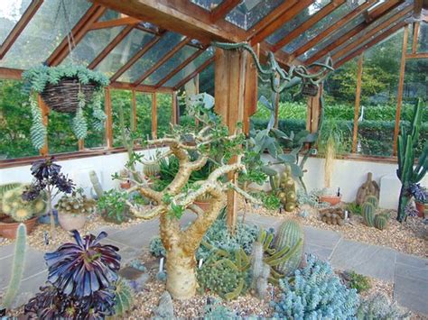 cacti greenhouse picture of winterbourne house and garden birmingham tripadvisor
