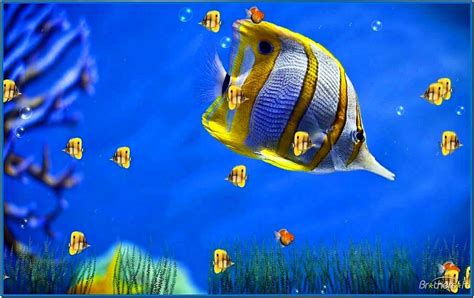 3d Screensavers Windows 7 Aquarium Download Screensav