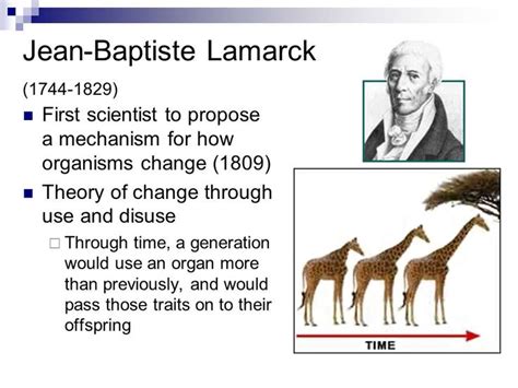 image result for jean baptiste lamarck theory
