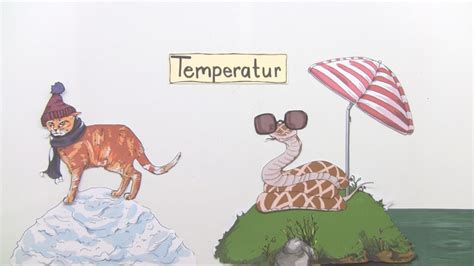 abiotischer faktor temperatur einfluss auf tiere