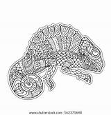 Zentangle Chameleon Colouring sketch template