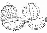 Watermelon Drawing Getdrawings sketch template