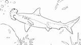 Shark Coloring Pages Great Scary Printable Color Realistic Nautical Getcolorings Kids Getdrawings Colorings Sharks sketch template