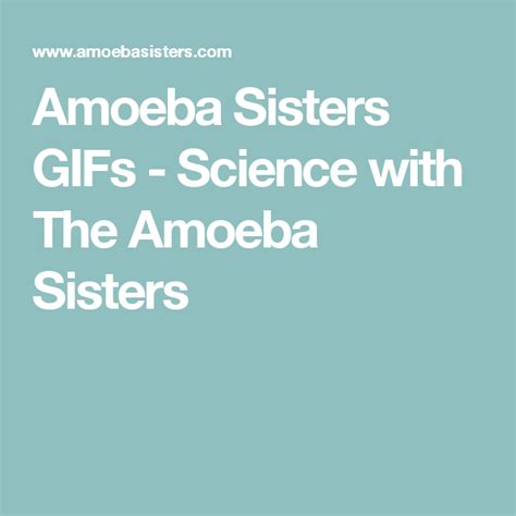 amoeba sisters s science with the amoeba sisters