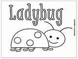 Coloring Ladybug Pages Bugs Bug Preschool Kids Little Easy sketch template