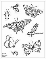 Insetos Insect Insects Bees Topcoloringpages Scholarschoice sketch template