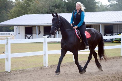 horse trainer  army wife  womans perfect balance article