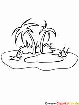 Insel Oasis Malvorlage Palmen Ausmalbilder Piraten Malvorlagenkostenlos Designlooter Oscar Seas sketch template