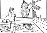 Stall Bauernhof Pferde Ausmisten Malvorlage Tiere Malvorlagen Kinderbilder Pferdebox Reiten sketch template