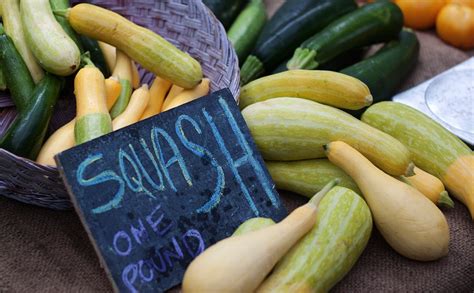 10 Summer Squash Varieties Some You Know Some You Don T