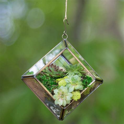 diamond shaped glass terrarium giftopix
