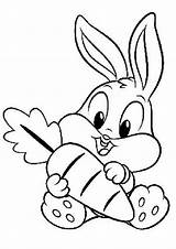 Coloring Pages Bunny Bugs sketch template