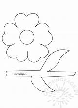 Template Stem Flower Coloring Pages Leaves Flowers Printable Colouring Plumeria Templates Coloringpage Eu Color Preschool Print Cursor Banner Crafts Icon sketch template