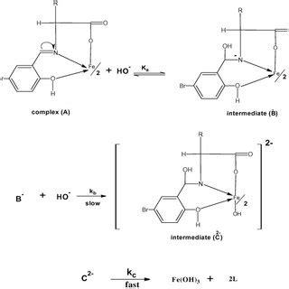 scheme  pathway   base hydrolysis   investigated complexes  scientific