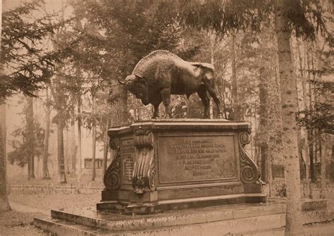Bison Statue At The Entrance To The Menagerie In Memory Of