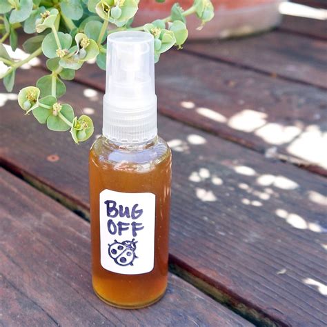 natural bug spray natural bug repellents popsugar smart living