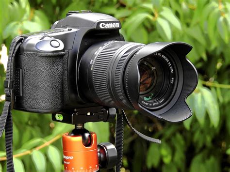 top  digital slr cameras digital slr camera  beginners dynamic