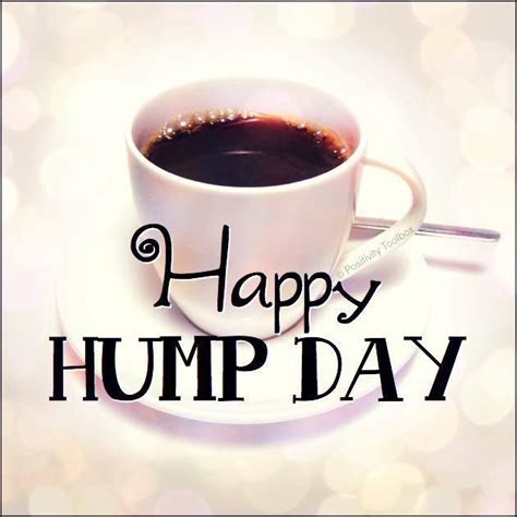 Happy Hump Day Hump Day Quotes Good Morning Wednesday Wednesday Coffee