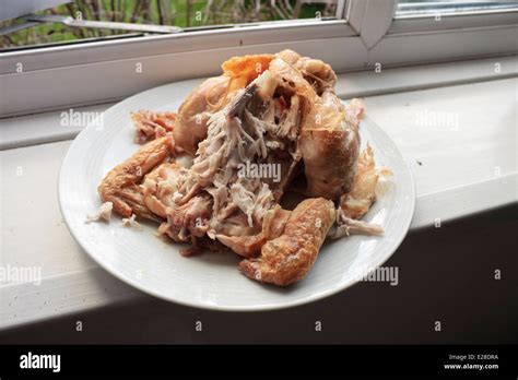 eaten roast chicken carcass stock photo alamy