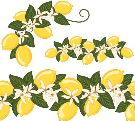 seamless lemons border stock illustration  image  istock