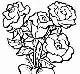 Roses Bunch Coloring Coloringcrew sketch template