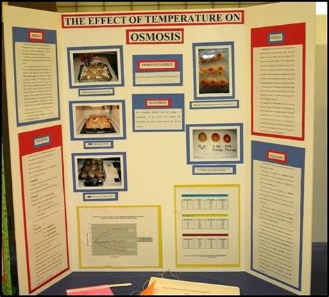 science fair research paper   https encrypted tbn gstatic