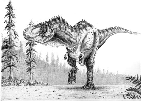 tyrannosaurus rex dinosaur drawing tyrannosaurus rex prehistoric