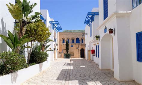 hammamet yasmine hammamet small tunisia  vegan travelers