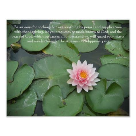 Bible Quotes About Lilies Quotesgram