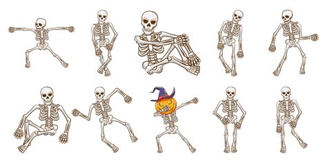 Funny Skeleton Vector Art Icons And Graphics For Free Download