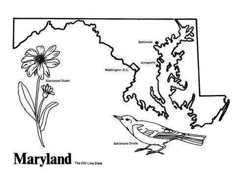 maryland state flag coloring page coloring home