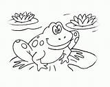 Broasca Colorat Kolorowanki Desene Planse Colorir Imprimir Frog Broaste Sapos Zaby Cu Amfibieni Dzieci Wydruku Desenat Fise Frogs Educative Zwierzętami sketch template
