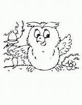 Coloring Owl Cute Baby Pages Hmcoloringpages Owls Printable sketch template