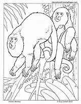 Howler Monkeys Primates Designlooter Colouringpages sketch template