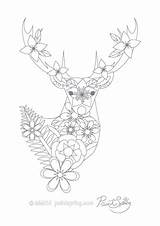 Deer Coloring Adult Pages Head Template sketch template