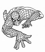 Spiderman Coloring Pages Kids Printable Spider Man Procoloring Marvel Cartoon Climbing Easy Sheets Print 4kids sketch template