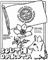Coloring Pages Dakota South State Crayola Symbols Flag Washington States Rushmore Carolina Mount North Kentucky Color California Arkansas Houston Flower sketch template