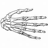 Skeleton Tattoo Polyvore Huesos sketch template