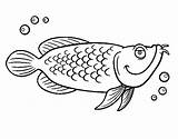 Cod Coloring Fish Pages Getcolorings Atlantic Getdrawings Drawing sketch template
