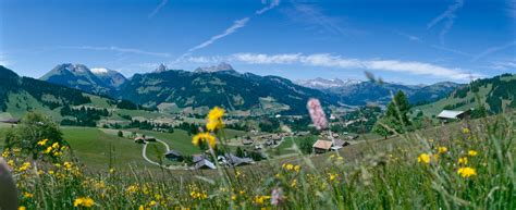 gstaad switzerland tourism