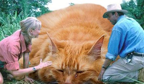 Jurassic Kitten Proves That Giant Cats Are Just As Scary As Dinosaurs